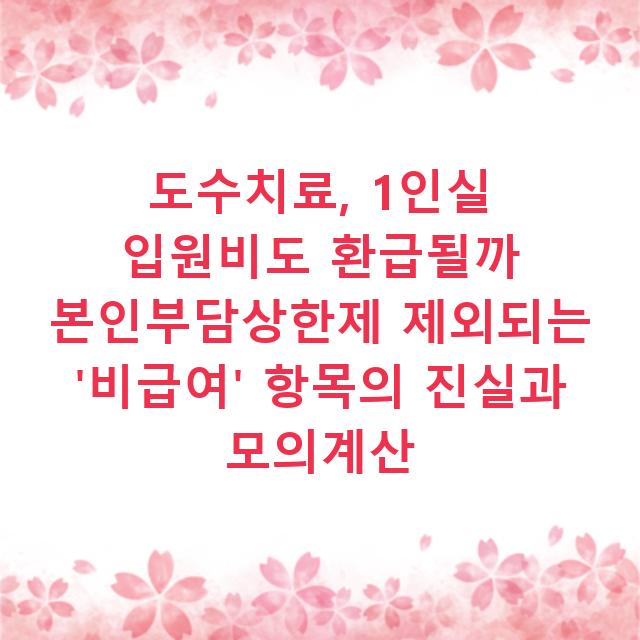 도수치료, 1인실 입원비도 환급될까 본인부담상한제 제외되는 ‘비급여’ 항목의 진실과 모의계산