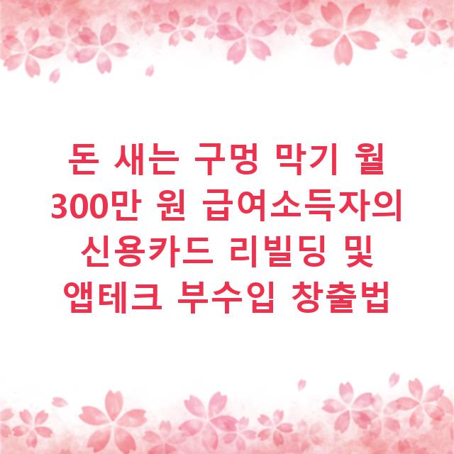 돈 새는 구멍 막기 월 300만 원 급여소득자의 신용카드 리빌딩 및 앱테크 부수입 창출법