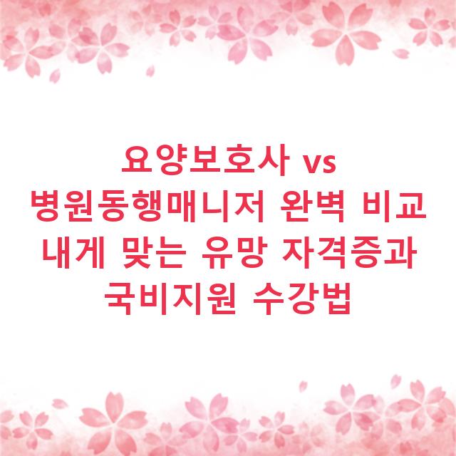 요양보호사 vs 병원동행매니저 완벽 비교 내게 맞는 유망 자격증과 국비지원 수강법